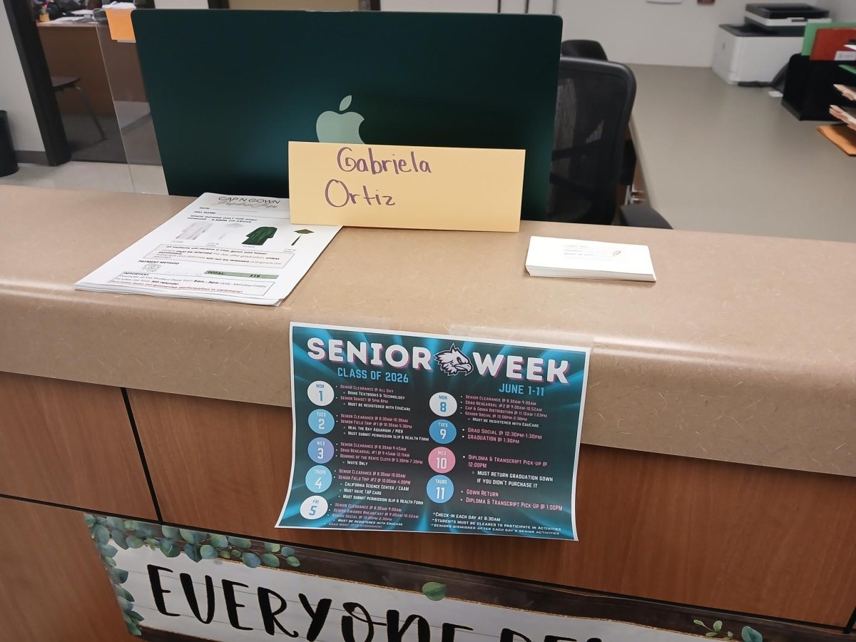 Day in the life of an assistant counselor