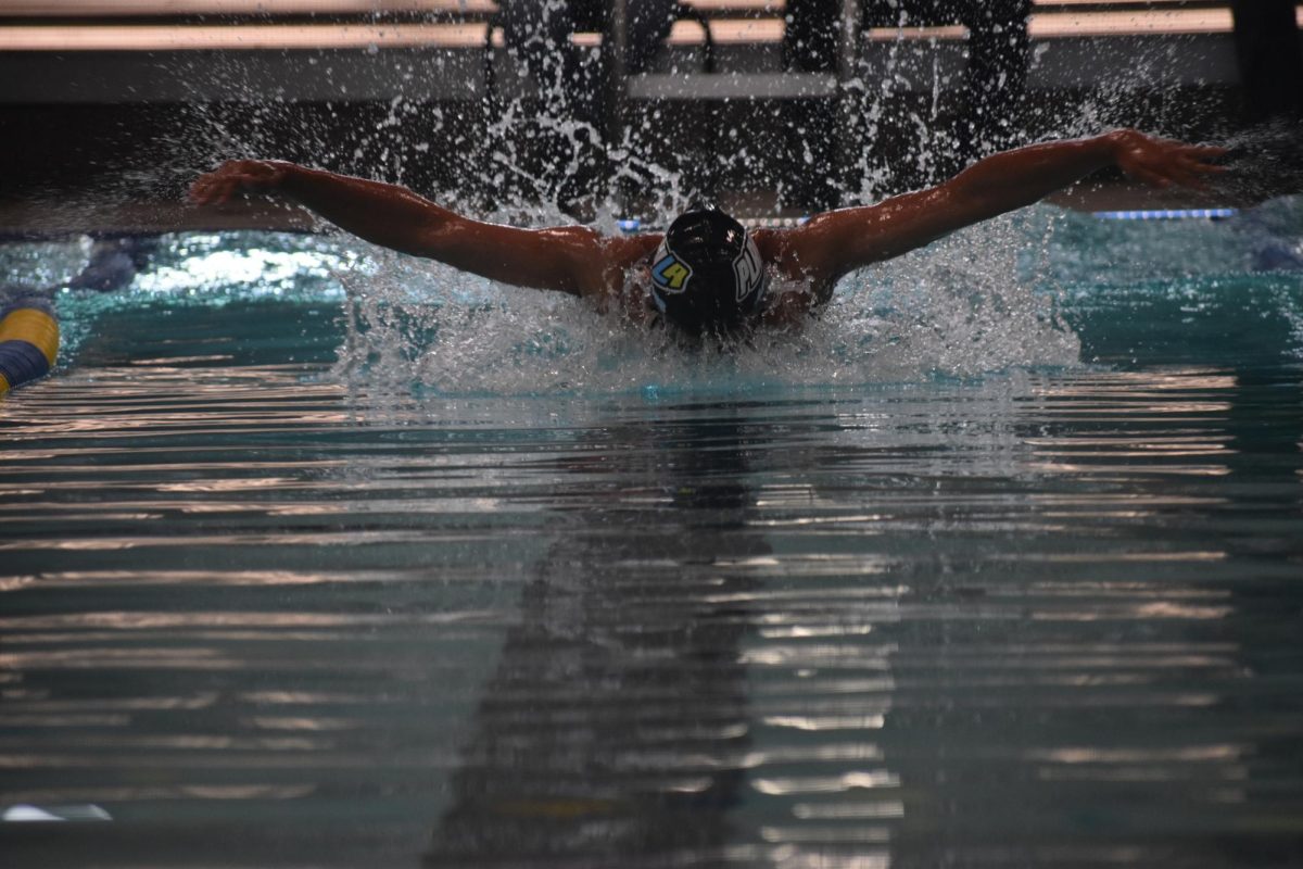 Josiah Rosales swimming the butterfly, almost looking like an actual butterfly